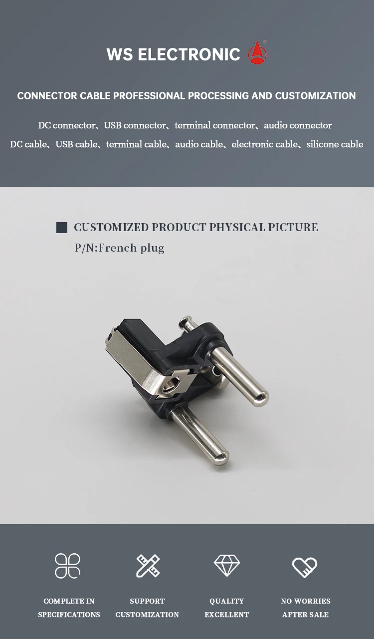 Hight Quality Low Price WS-DC0780 Solid Pin Two-pin Plug Insert With Double Earth Conductor System French AC Plug Inserts